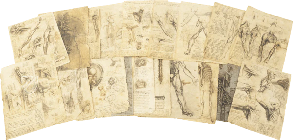 Drawings of Leonardo da Vinci